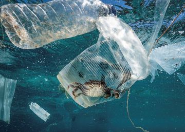 La ONU insta a los países a reducir los microplásticos en los océanos