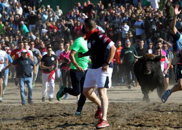 El Supremo cierra la puerta a la muerte en público del Toro de la Vega