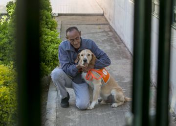 Cuidar de un perro como terapia para presos