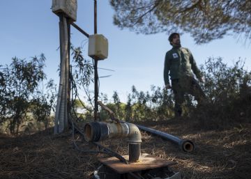 El Parlamento Europeo insta a España a acabar con los pozos ilegales de Doñana