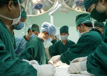 Récord de donantes de médula, casi 400.000 en 2018