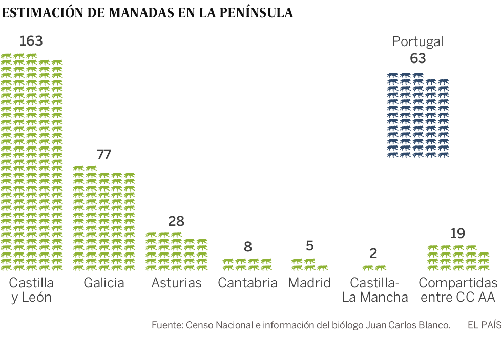 La ganadería extensiva y las carreteras acorralan al lobo