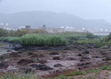 La Fiscalía investiga un vertido de hidrocarburos de Repsol en Cartagena