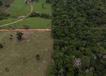 Ocho países sudamericanos batallan con Amazon por el ciberespacio