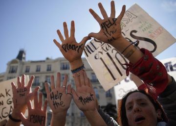 Fridays For Future convoca 30 protestas en toda España para que los políticos admitan la “emergencia climática”
