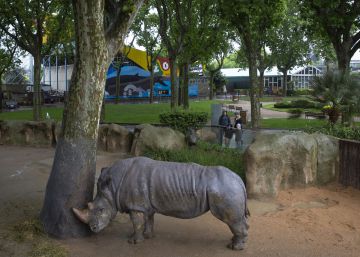 Zoológico de Barcelona adere ao animalismo após 127 anos de história