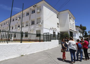Más pulgas que estudiantes en un colegio público de Málaga