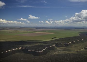 Greenpeace cobra proteção da última fronteira de expansão da soja no Brasil