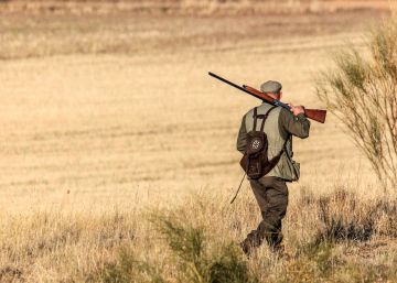 El Defensor del Pueblo lleva al Constitucional la ley de caza de Castilla y León