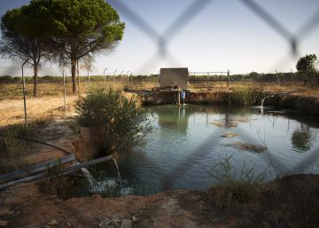 La Unesco vigilará el uso ilegal del agua en Doñana y exige medidas urgentes antes de 2021