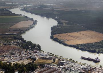 El Tribunal Supremo entierra el dragado del Guadalquivir que amenazaba Doñana