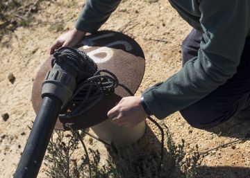 El PP de Huelva arenga a los agricultores que roban agua de Doñana