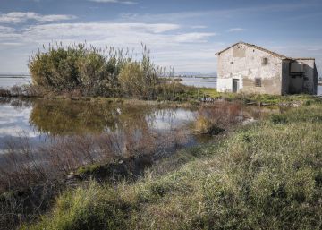 La Fiscalía investiga el “alarmante” descenso del nivel de agua en la Albufera de Valencia