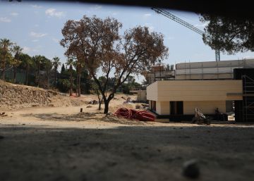 Alcobendas multa con 250.000 euros a Sergio Ramos por la tala de encinas ilegal en su finca