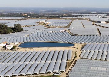 La Comisión Europea aplaude el cierre de los pozos ilegales en Doñana