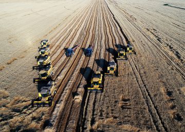 El planeta necesita un cambio del modelo alimentario para combatir la crisis climática