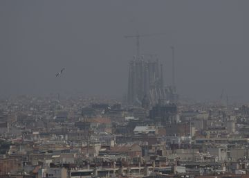 La polución causa hasta un tercio de los casos de asma infantil en Europa