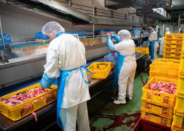 Alemania debate subir el IVA a la carne para luchar contra el cambio climático