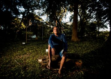 Olimpio Guajajara, o guardião de três São Paulos de floresta no Maranhão