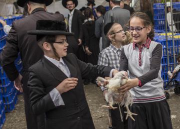 Israel planea una reforma legal para eliminar trabas a la donación de los excedentes alimentarios