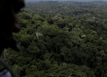 Bolsonaro dice que Brasil “no necesita” la ayuda alemana para preservar el Amazonas