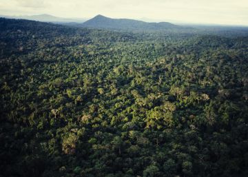 La política de Bolsonaro hace peligrar el millonario Fondo Amazonia de lucha contra la deforestación La política de Bolsonaro hace peligrar el millonario Fondo Amazonia de lucha contra la deforestación