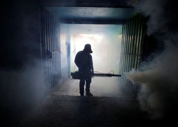 Un brote de dengue pone en alerta a Centroamérica