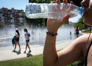 La OMS urge a investigar el impacto de los microplásticos en la salud