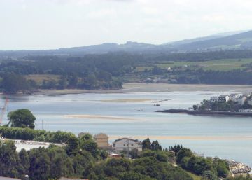 Prohibido el marisqueo entre Galicia y Asturias por un vertido de purines al río Eo