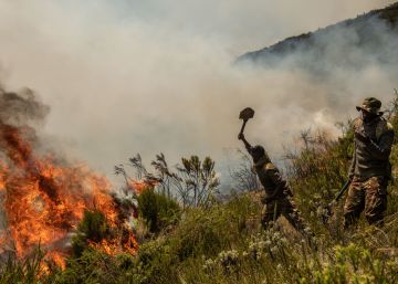 A África arde ainda mais do que a Amazônia