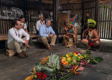 Sete países amazônicos acertam uma agenda contra a crise ambiental