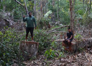 Brasil solo ha juzgado 14 de los 300 asesinatos de ecologistas de la última década