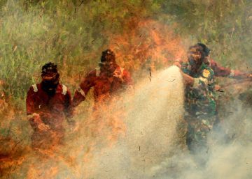 Los incendios forestales de Indonesia cubren de niebla tóxica el sureste asiático