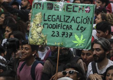 Argentina gasta 40 millones de dólares al año en perseguir a usuarios de drogas