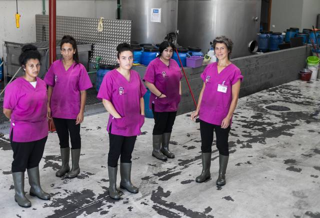 Una cooperativa de recogida de aceite usado, modelo de integración en A Coruña