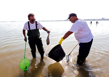 Los ecologistas advierten de que el plan de vertido cero del mar Menor contaminará el Mediterráneo