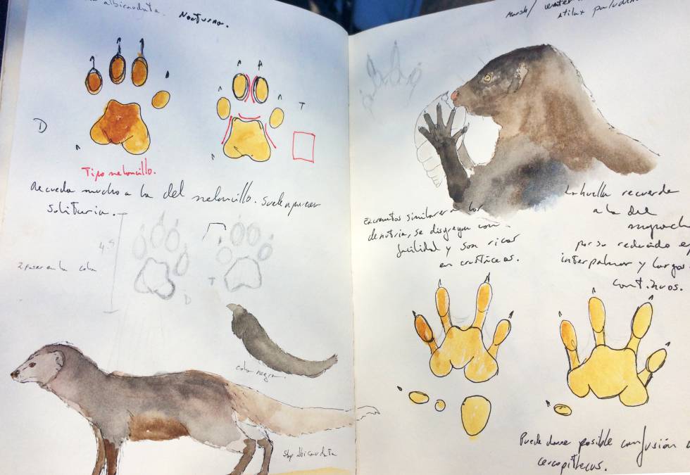 Uno de los cuadernos de Jose María Galán.