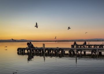 La Albufera de Valencia recibió el año pasado un 17% menos del agua necesaria para su conservación