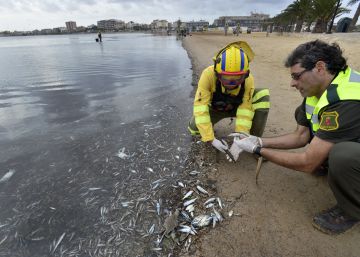 Otras 26 empresas agrícolas, imputadas por posibles vertidos contaminantes al Mar Menor