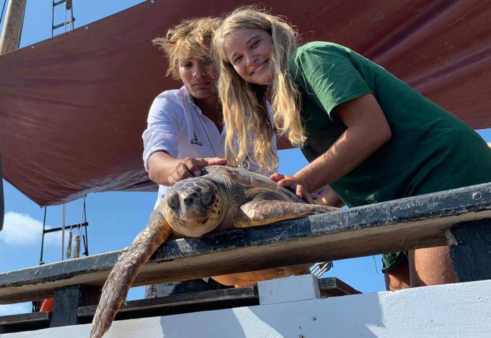 Dos voluntarios liberan una tortuga.