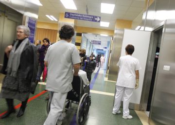 Diagnosticado un hombre con rabia en Bizkaia