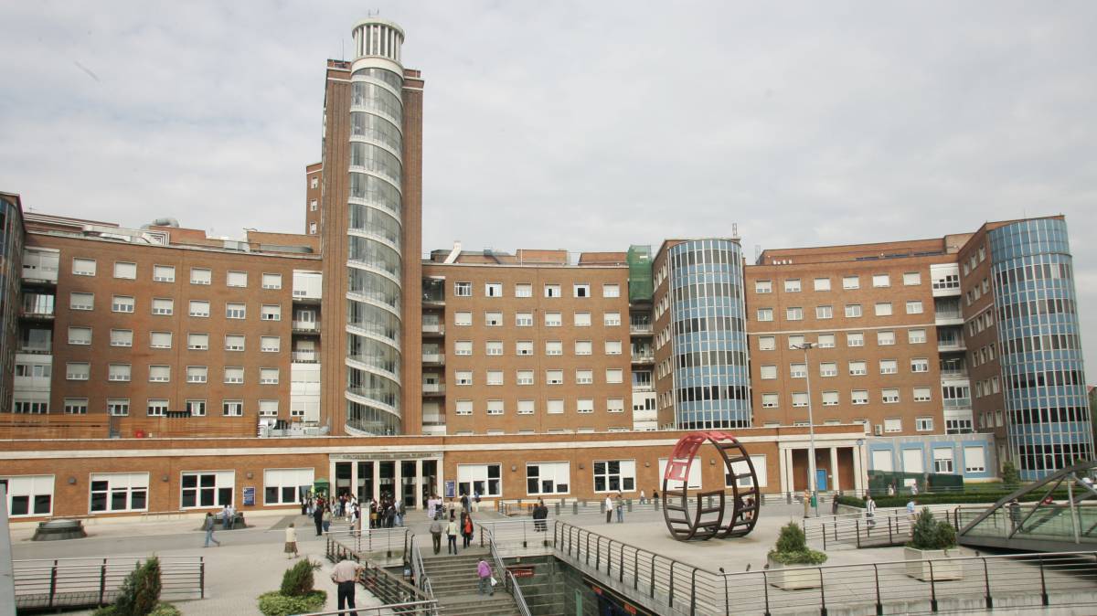 El Hospital de Cruces, en Barakaldo (Bizkaia).