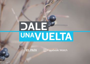 ‘Dale una vuelta’ | El vino que lucha contra el cambio climático ‘Dale una vuelta’ | El vino que lucha contra el cambio climático