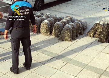 La Guardia Civil desmantela una trama que introdujo en España 39 toneladas de almejas tóxicas