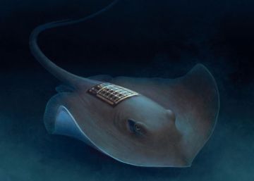 Tres iniciativas españolas de ciencia ficción para salvar el mar
