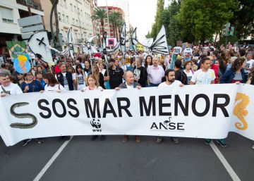 Murcia aprueba un decreto ley para recuperar el mar Menor pero admite que no es suficiente Murcia aprueba un decreto ley para recuperar el mar Menor pero admite que no es suficiente