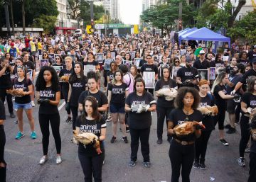 “La ofensa al veganismo no es tan grave como a la raza o a la sexualidad”