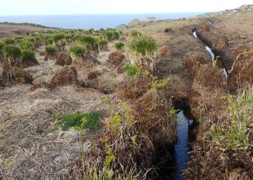 La fiscalía de medio ambiente investiga desbroces en Red Natura para la Vuelta Ciclista 2018
