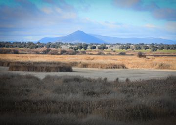 Las Tablas de Daimiel, en estado crítico y sin agua del Tajo Las Tablas de Daimiel, en estado crítico y sin agua del Tajo