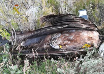 El veneno asesino de especies protegidas
